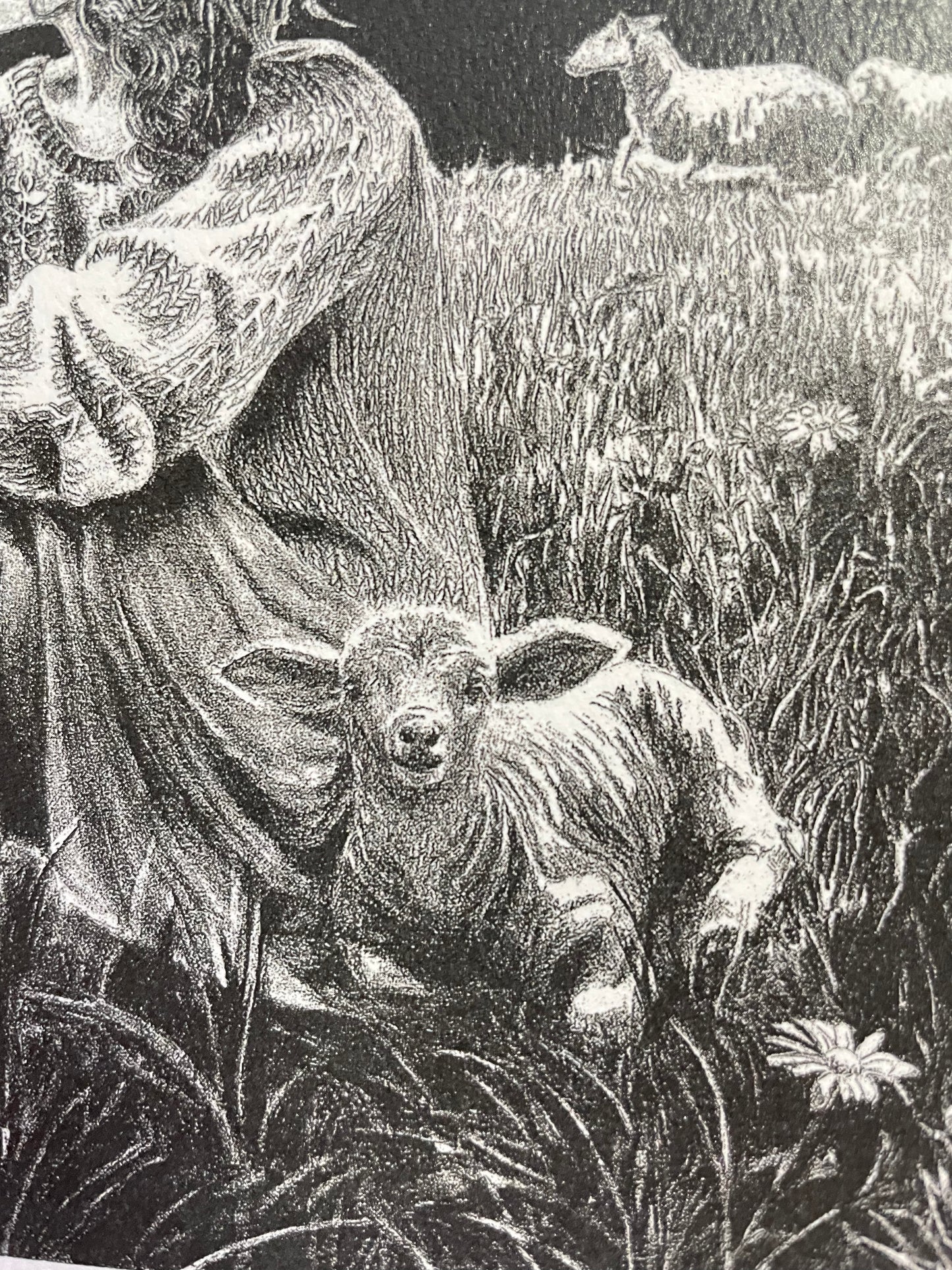 Art Print Shepardess